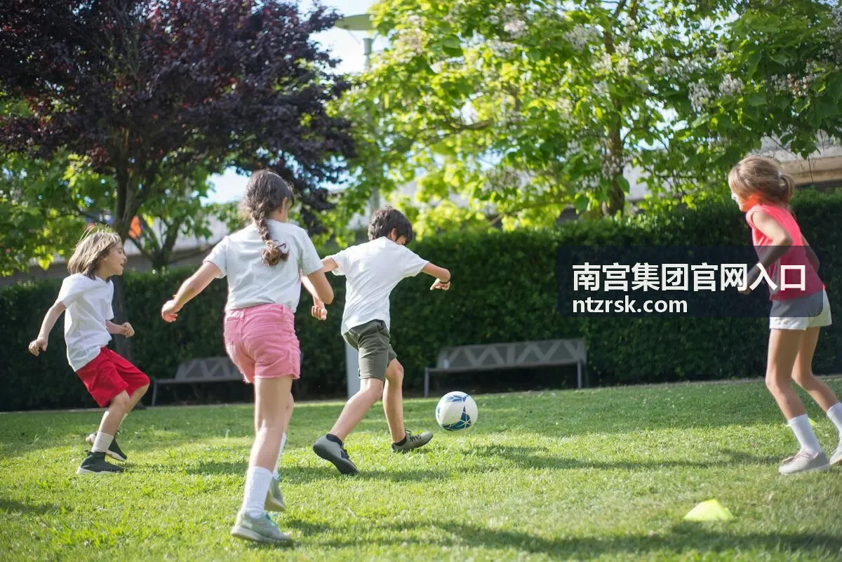 南宫集团官方服务指南相关介绍图